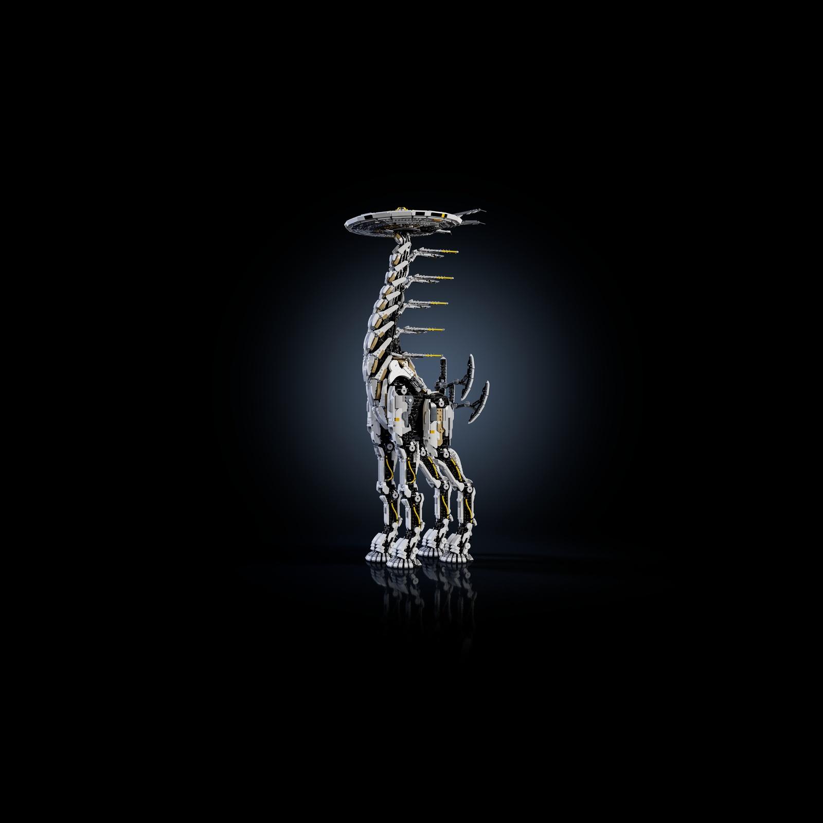 fondo scuro tallneck front