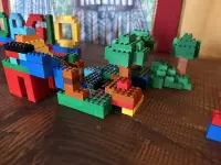 IMG_5879
