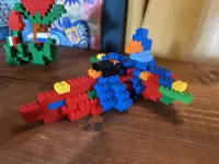 IMG_5885